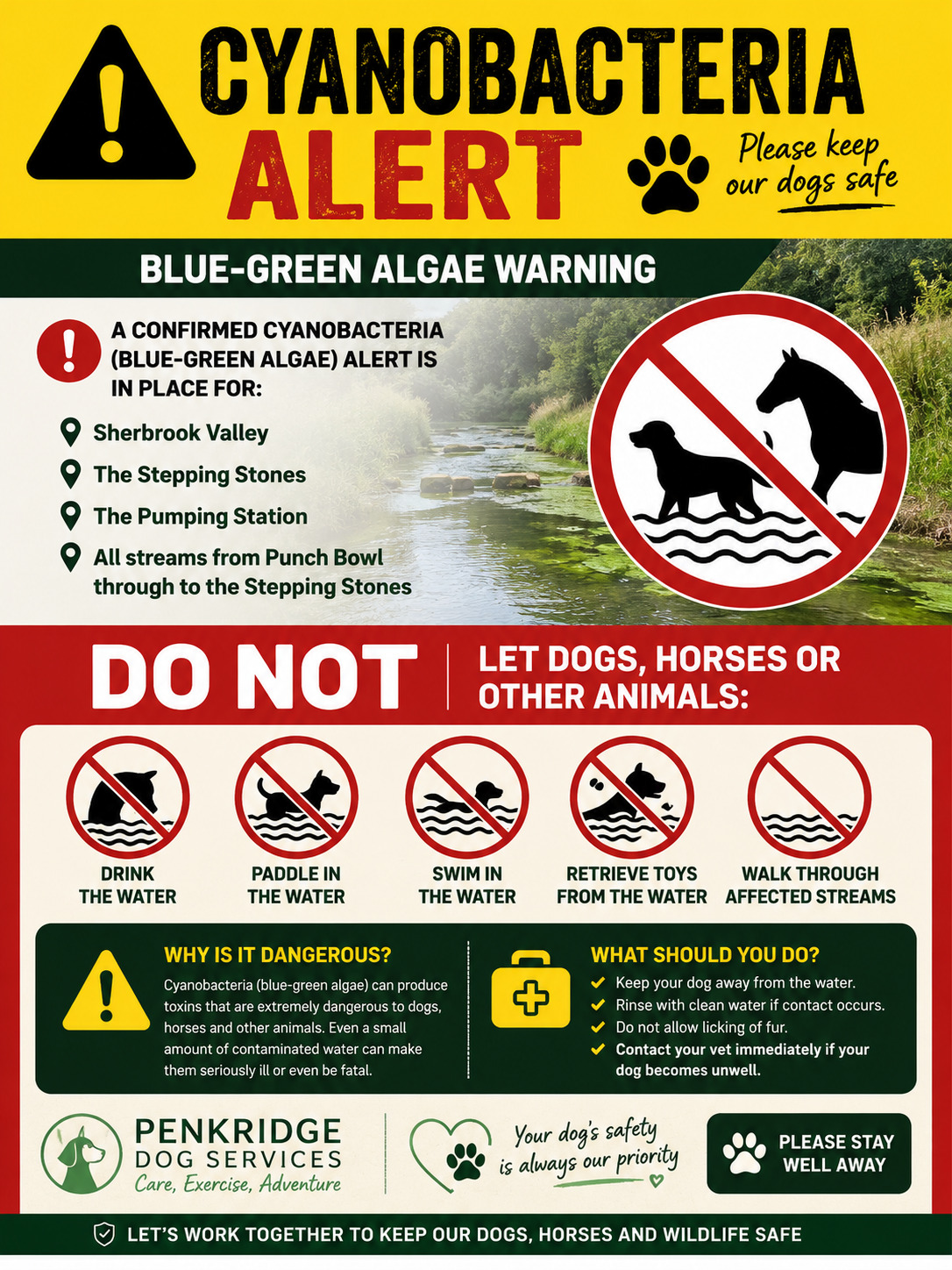 Warning sign for cyanobacteria at local water